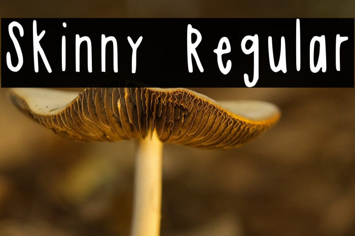 Skinny Regular Example 3