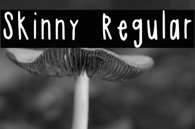 Skinny Regular Font examples