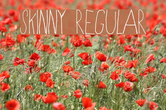 Skinny Regular フォント examples