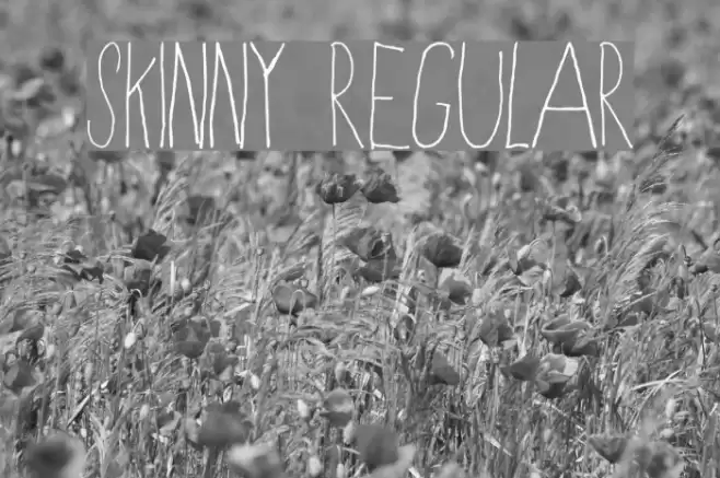 Skinny Regular フォント examples