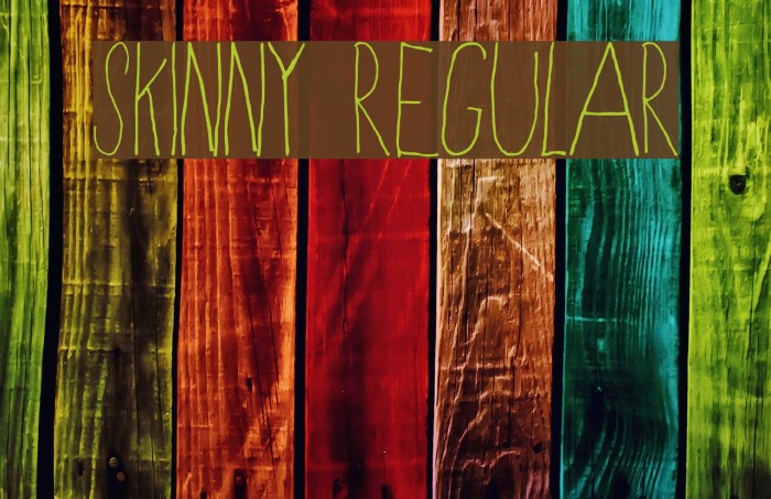 Skinny Regular フォント examples