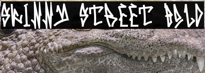 Skinny Street Bold Example 3