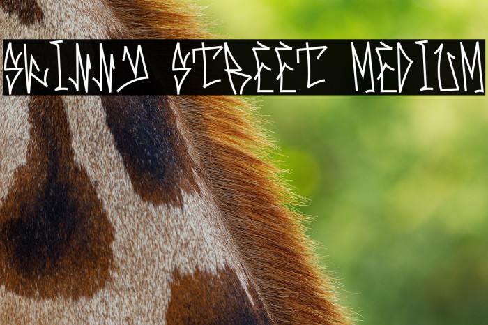 Skinny Street Medium Caratteri examples