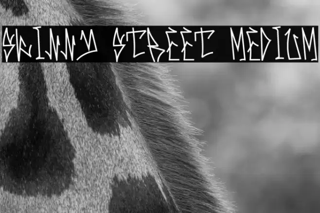 Skinny Street Medium Шрифта examples