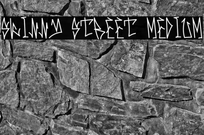Skinny Street Medium Шрифта examples