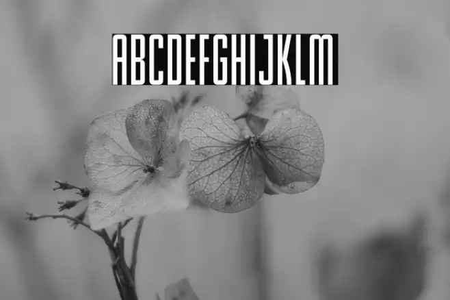 Skinny Sunbeams Font examples