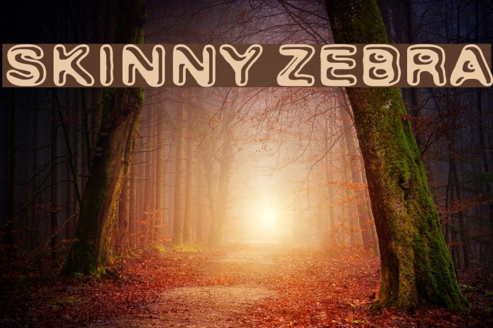Skinny Zebra Font examples
