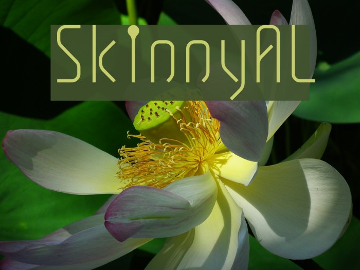 SkinnyAL Example 1