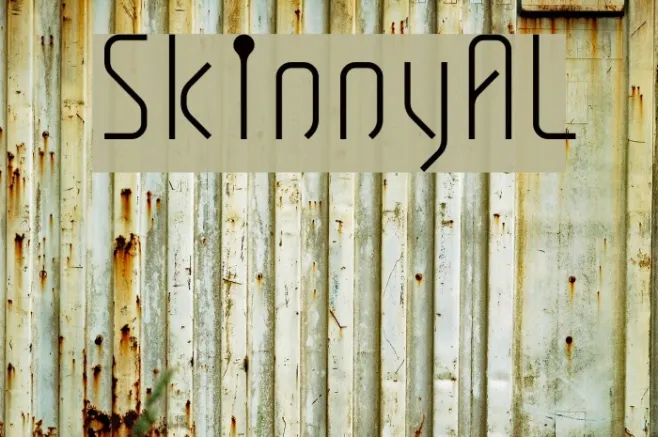 SkinnyAL Example 3