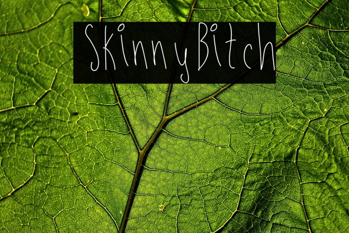 SkinnyBitch Example 1