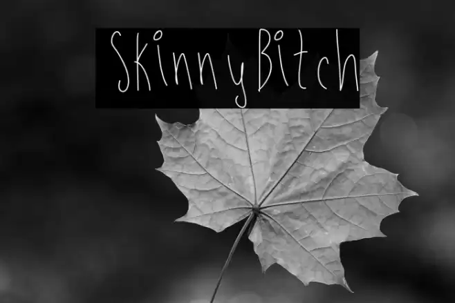 SkinnyBitch फ़ॉन्ट examples