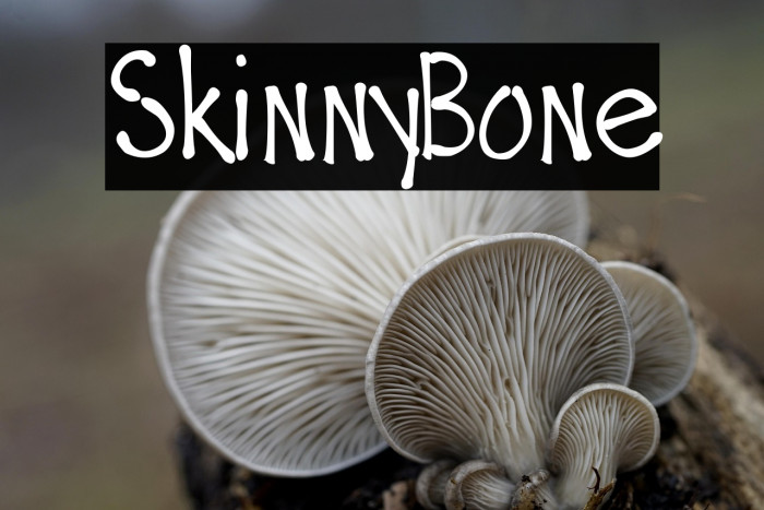 SkinnyBone Example 1