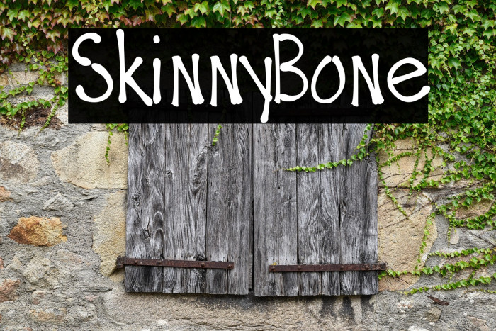 SkinnyBone Example 3
