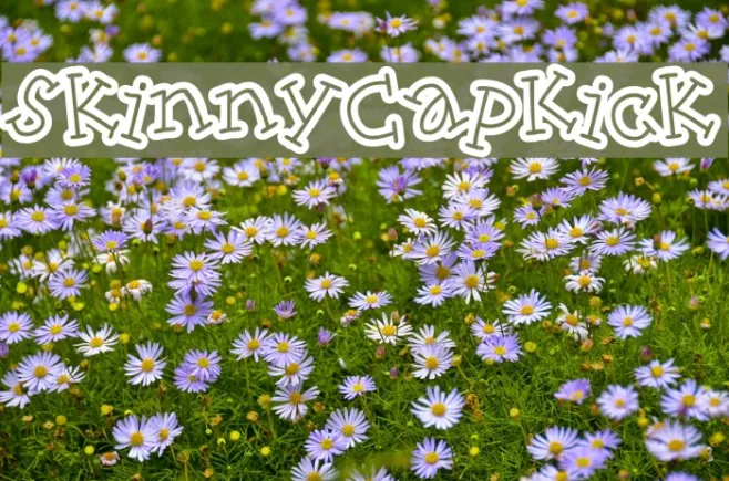 SkinnyCapKick Example 3