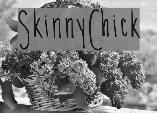SkinnyChick Font examples