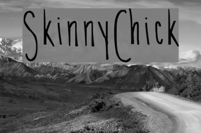 SkinnyChick Font examples