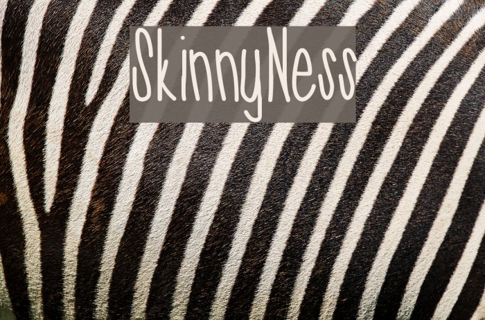 SkinnyNess Font examples