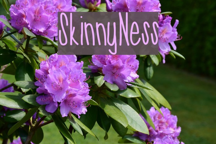 SkinnyNess Font examples