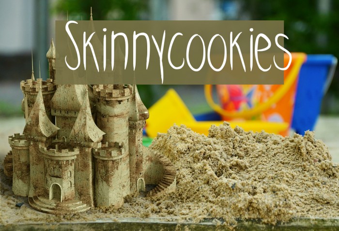 Skinnycookies Font examples