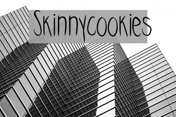 Skinnycookies Font examples
