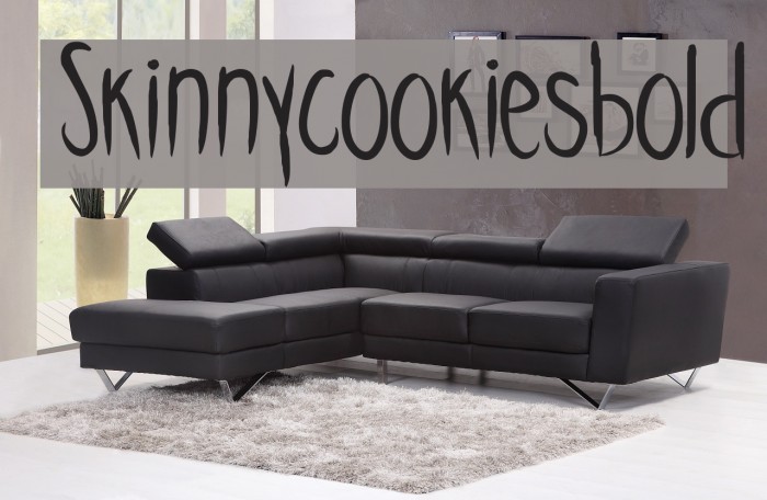 Skinnycookiesbold Example 1