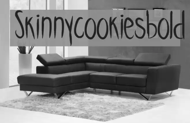 Skinnycookiesbold Font examples