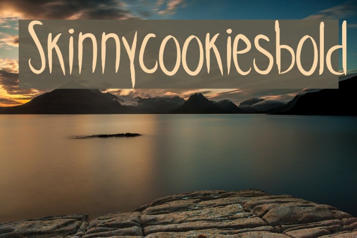Skinnycookiesbold Example 3