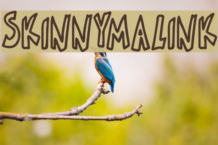 Skinnymalink Example 1