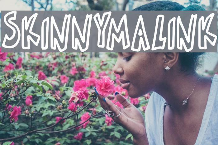 Skinnymalink Example 2