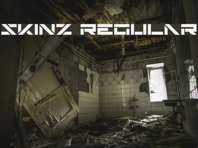 Skinz Regular Example 3