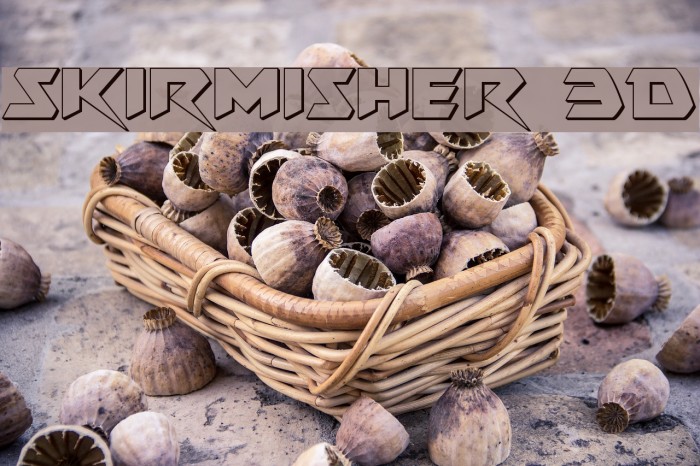 Skirmisher 3D Example 1