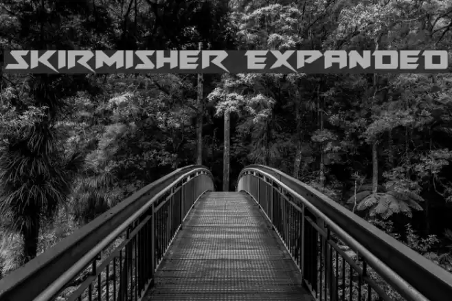 Skirmisher Expanded Font examples