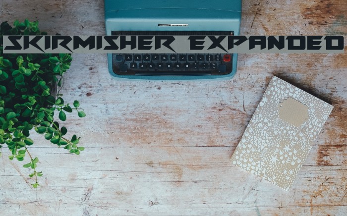 Skirmisher Expanded Example 3