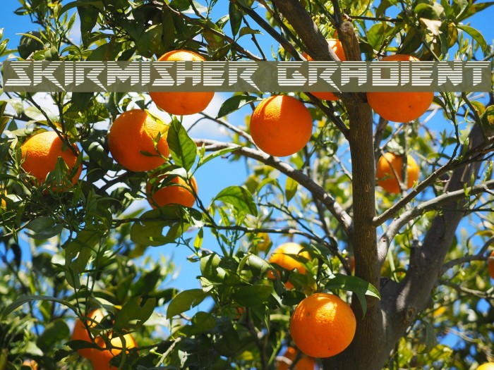 Skirmisher Gradient Font examples