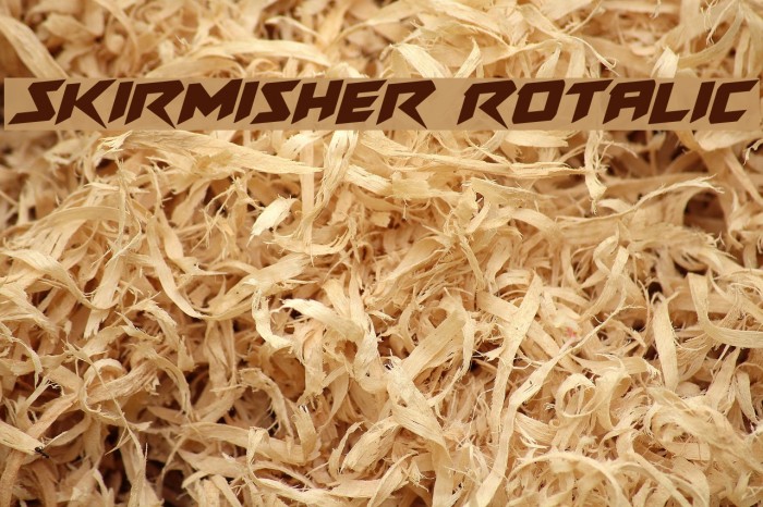 Skirmisher Rotalic Font examples