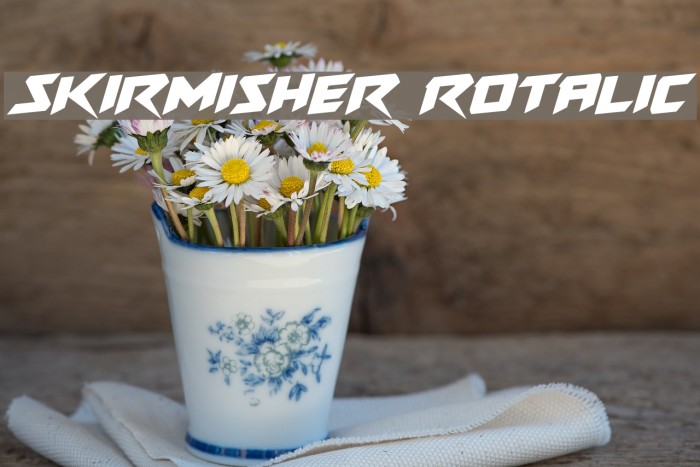 Skirmisher Rotalic Font examples