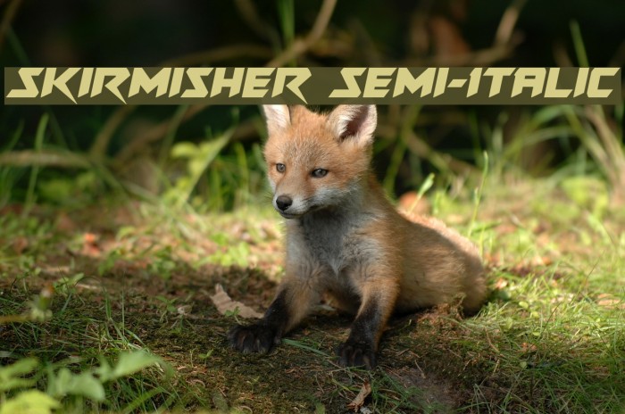 Skirmisher Semi-Italic Шрифта examples