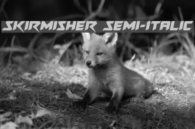 Skirmisher Semi-Italic Шрифта examples