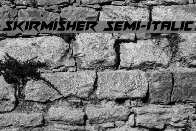 Skirmisher Semi-Italic Шрифта examples