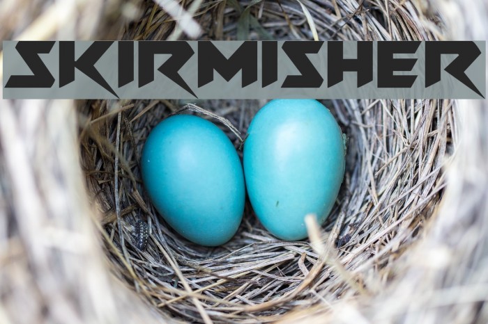 Skirmisher Font examples