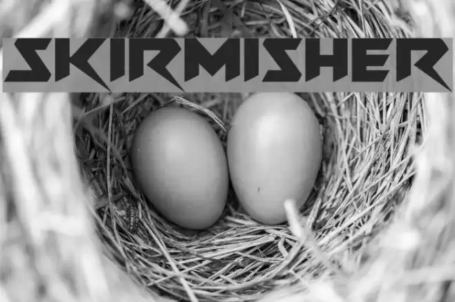 Skirmisher Schriftart examples