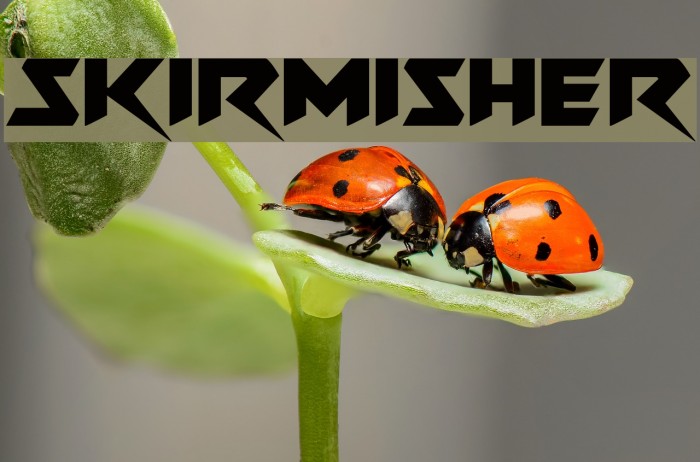 Skirmisher Font examples