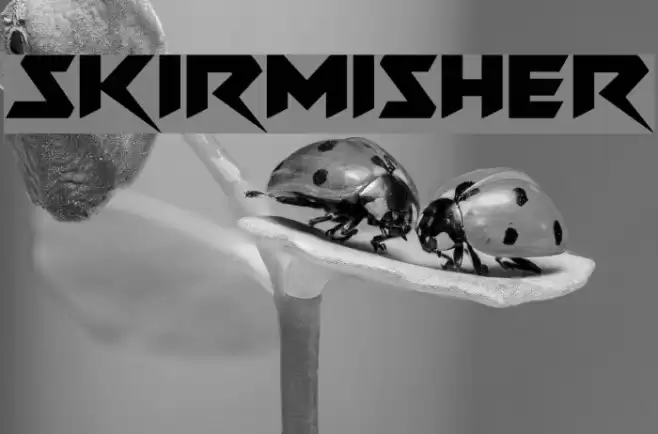 Skirmisher Schriftart examples