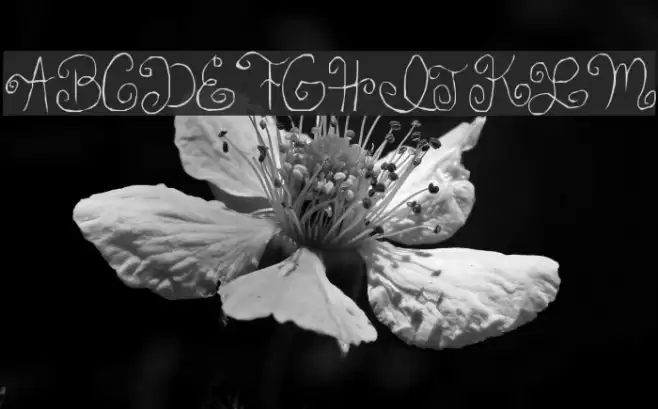 Skirt Girl Шрифта examples