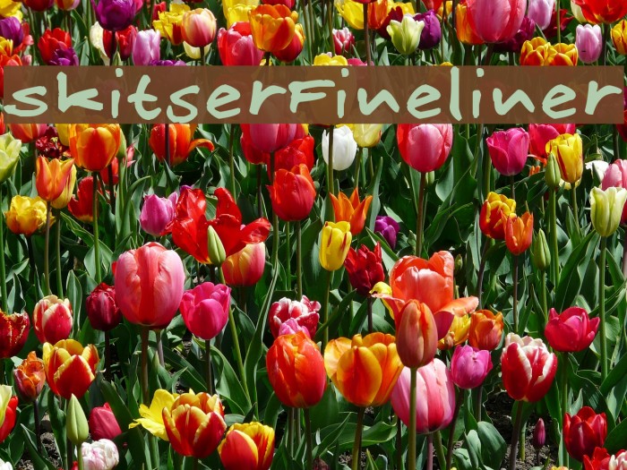 SkitserFineliner Example 2