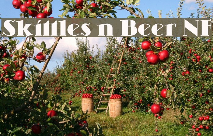 Skittles n Beer NF Font examples