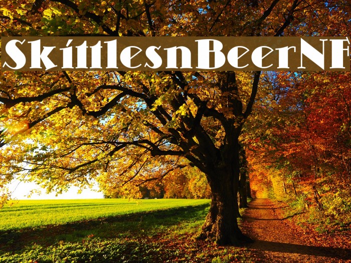 SkittlesnBeerNF Example 2