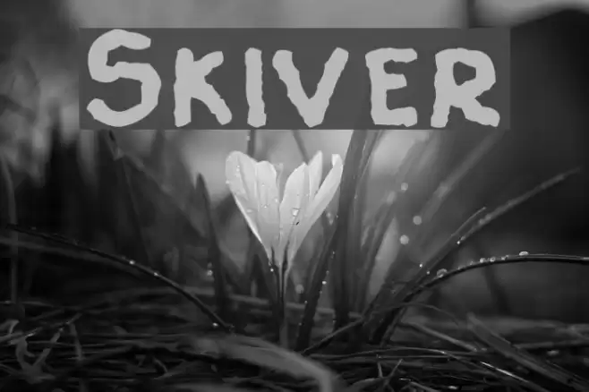 Skiver Font examples