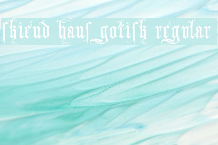 Skjend Hans Gotisk Regular Font examples