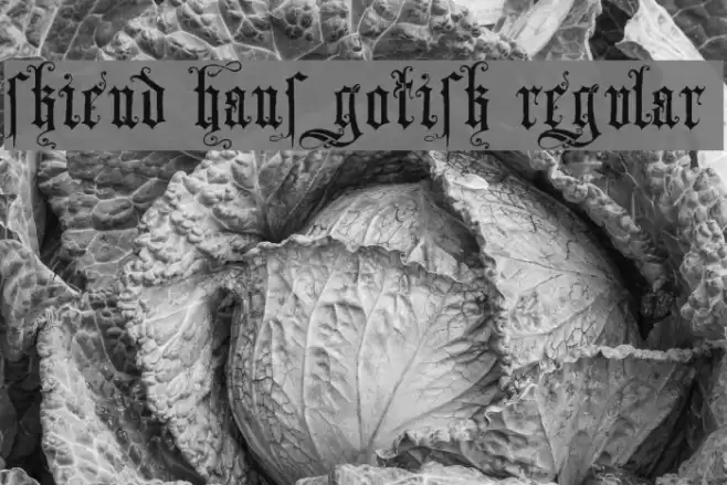 Skjend Hans Gotisk Regular Font examples